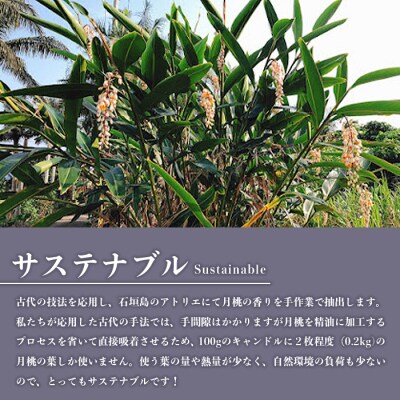 100%石垣島の月桃の香りで作ったアロマキャンドル