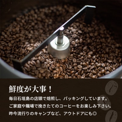 石垣島産コーヒー豆MIXブレンド ドリップパック10個と焙煎豆100g×4袋セット