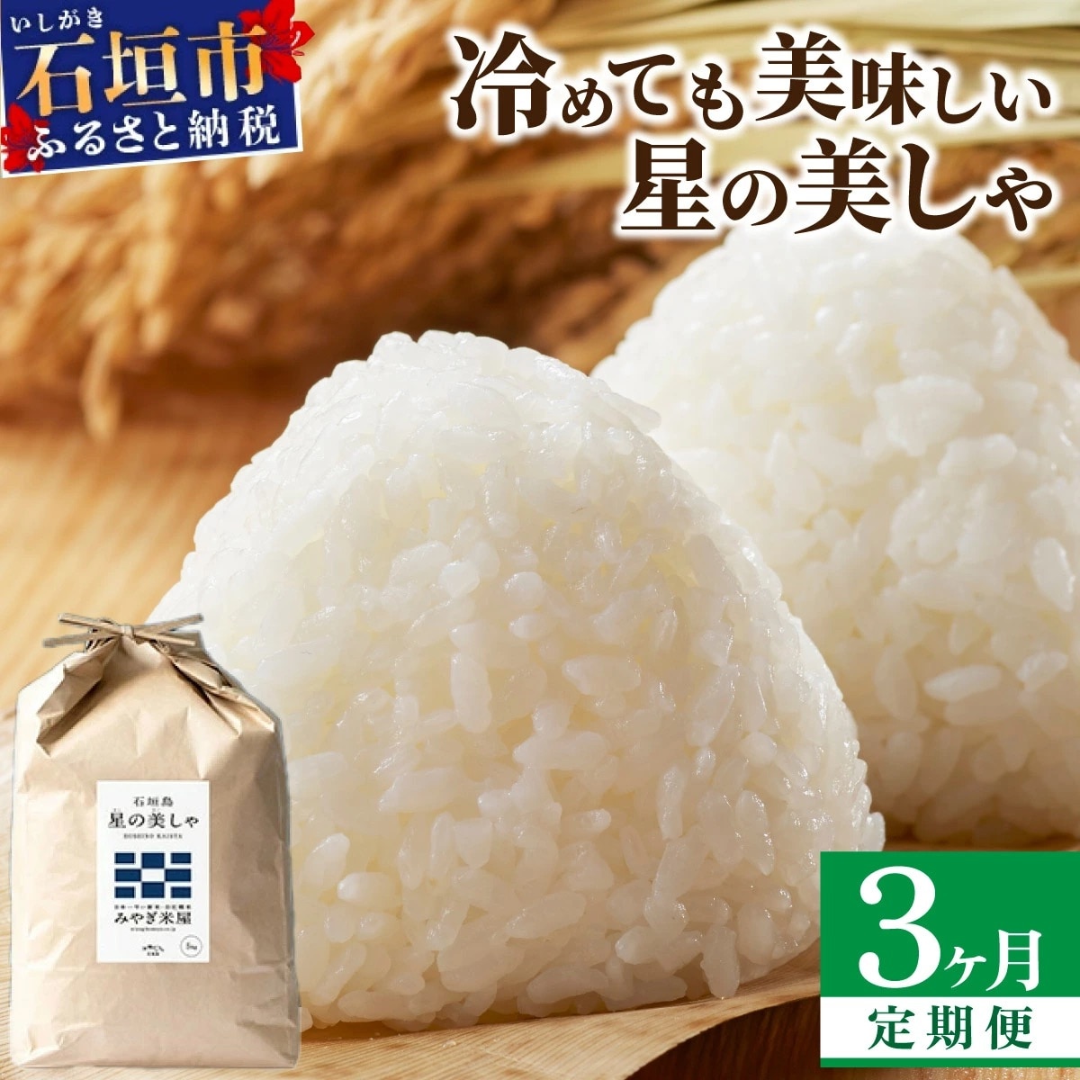 【定期便3回】3ヶ月連続お届け 石垣島産 星の美しゃ(ほしのかいしゃ)15kg(5kg×3回)