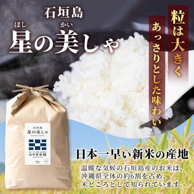 【定期便3回】3ヶ月連続お届け 石垣島産 星の美しゃ(ほしのかいしゃ)15kg(5kg×3回)