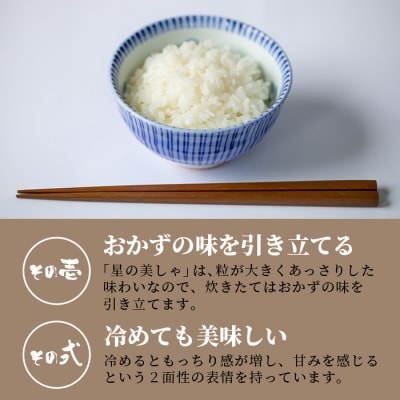 【定期便3回】3ヶ月連続お届け 石垣島産 星の美しゃ(ほしのかいしゃ)15kg(5kg×3回)