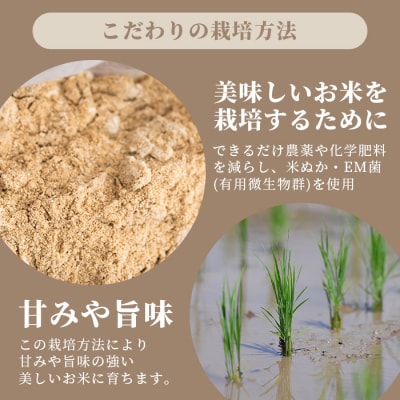 【定期便3回】3ヶ月連続お届け 石垣島産 星の美しゃ(ほしのかいしゃ)15kg(5kg×3回)