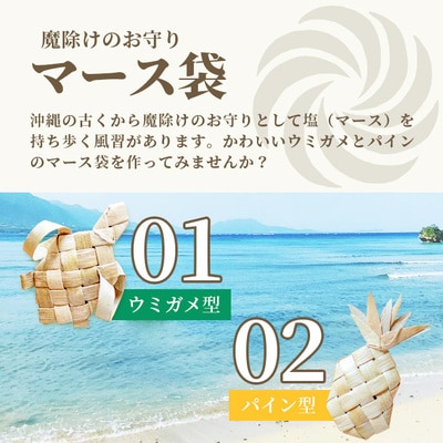 石垣島の植物クラフトワークショップ (5月下旬より順次発送)