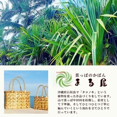 アダン マース袋2個セット