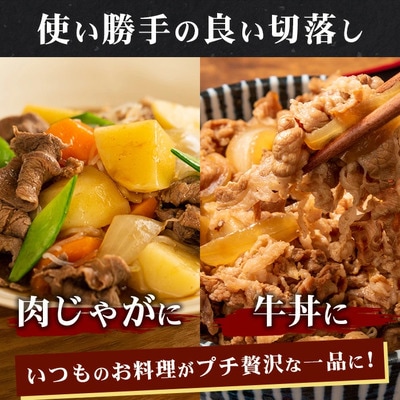 石垣島産 黒毛和牛 切落し 計900g (450gx2P)