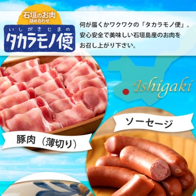 【先行受付】【新感覚】石垣島の「お肉」詰め合わせ～タカラモノお肉便