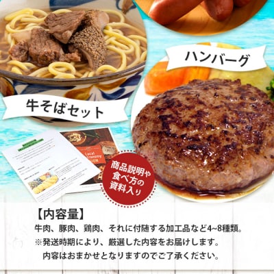 【先行受付】【新感覚】石垣島の「お肉」詰め合わせ～タカラモノお肉便