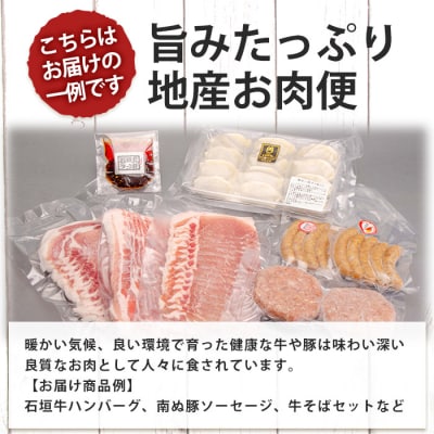 【先行受付】【新感覚】石垣島の「お肉」詰め合わせ～タカラモノお肉便