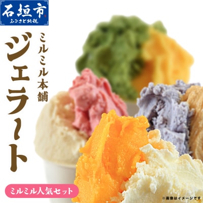 石垣島ミルミル本舗　ミルミル人気ジェラートセット(132ml×12個)