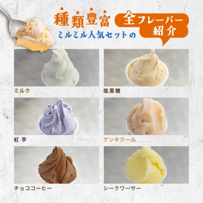 石垣島ミルミル本舗　ミルミル人気ジェラートセット(132ml×12個)