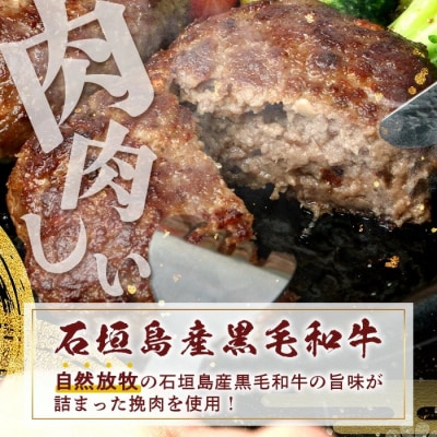 石垣島産 黒毛和牛 生ハンバーグ 120g x 6個