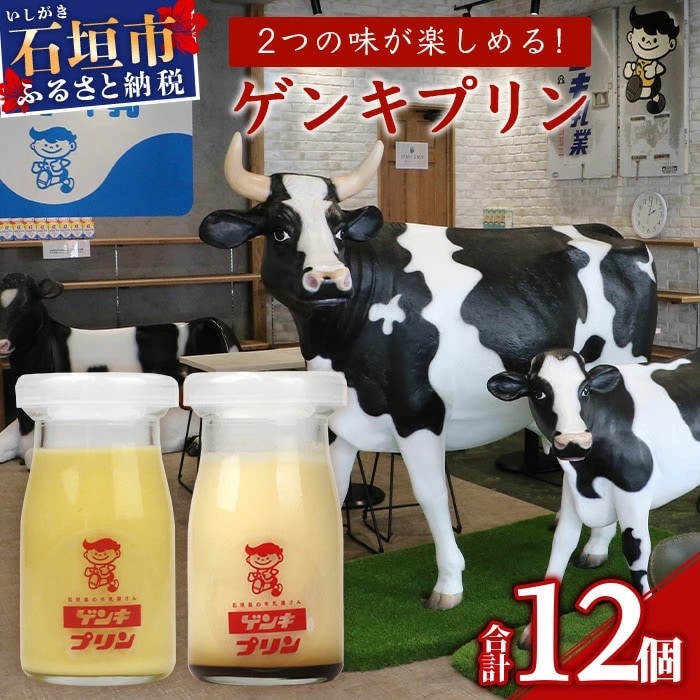 【島外不出のゲンキくん製品が返礼品に!!】ゲンキプリン 12個(プレーン6個、マンゴー6個)