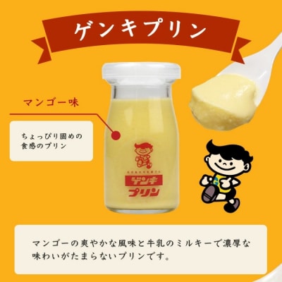【島外不出のゲンキくん製品が返礼品に!!】ゲンキプリン 12個(プレーン6個、マンゴー6個)