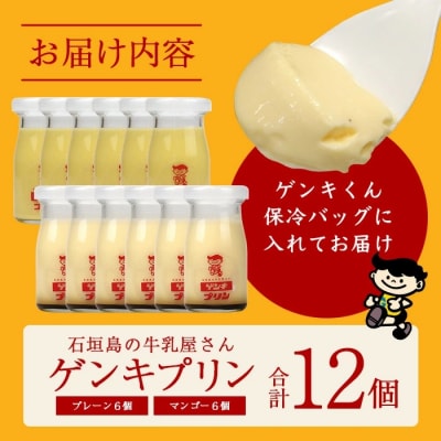 【島外不出のゲンキくん製品が返礼品に!!】ゲンキプリン 12個(プレーン6個、マンゴー6個)