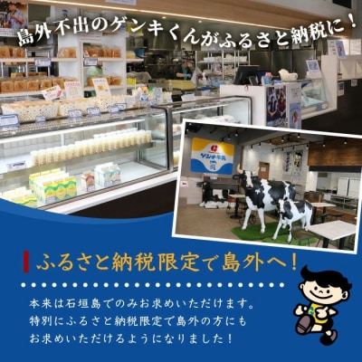 【島外不出のゲンキくん製品が返礼品に!!】ゲンキプリン 6個