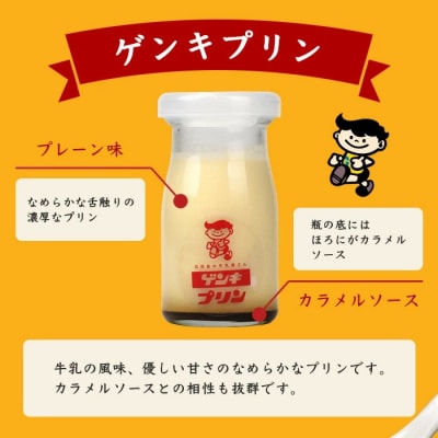 【島外不出のゲンキくん製品が返礼品に!!】ゲンキプリン 6個