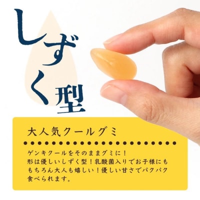 【島外不出のゲンキくんグッズが返礼品に!!】八重山ご当地キャラクターゲンキくん クールグミ 12袋
