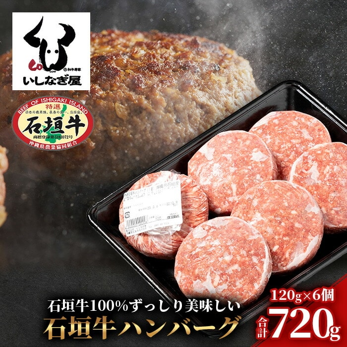 石垣牛ハンバーグ 120g×6個 