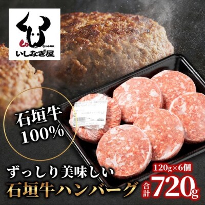 石垣牛ハンバーグ 120g×6個 