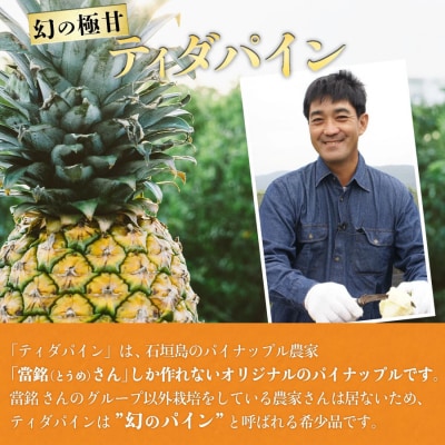 當銘さんの完熟カットパイン2.5kg(250g×10袋) ※2026年6月上旬発送