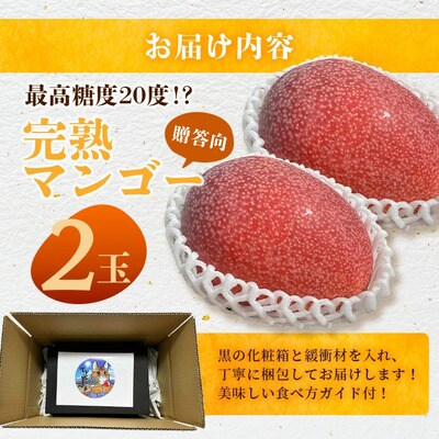 【先行受付】《2025年6月下旬～7月下旬発送》完熟の極!石垣島マンゴー 2玉約900g【贈答向け】