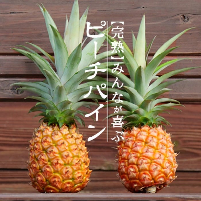 【先行受付】石垣島産パイナップル(ピーチパイン)3玉入 約2kg(1.7~2.2kg)