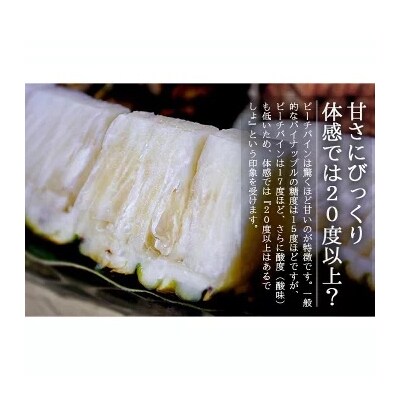 【先行受付】石垣島産パイナップル(ピーチパイン)3玉入 約2kg(1.7~2.2kg)