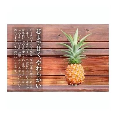 【先行受付】石垣島産パイナップル(ピーチパイン)3玉入 約2kg(1.7~2.2kg)