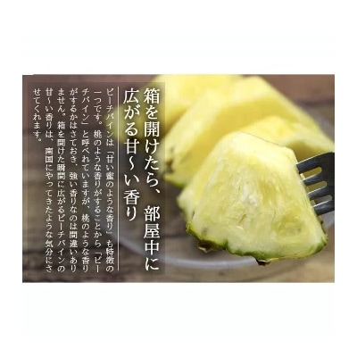 【先行受付】石垣島産パイナップル(ピーチパイン)3玉入 約2kg(1.7~2.2kg)