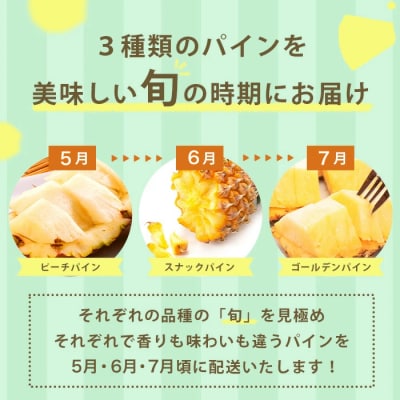 【定期便3回】石垣島産 パイナップル3種 計6玉【2026年 5月頃・6月・7月頃お届け】
