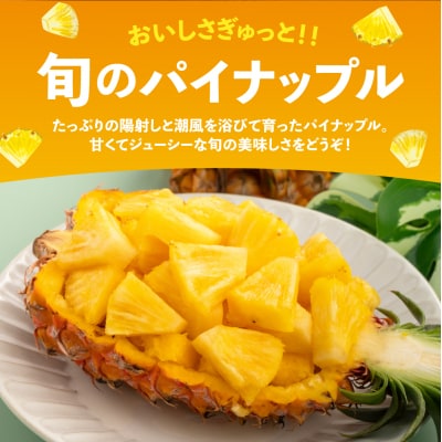 【定期便3回】石垣島産 パイナップル3種 計6玉【2027年 5月頃・6月・7月頃お届け】