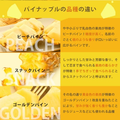 【定期便3回】石垣島産 パイナップル3種 計6玉【2026年 5月頃・6月・7月頃お届け】