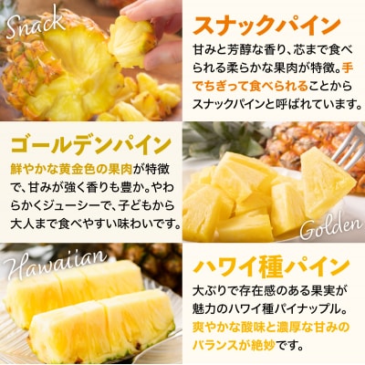 【定期便3回】石垣島産 パイナップル3種 計6玉【2026年 5月頃・6月・7月頃お届け】