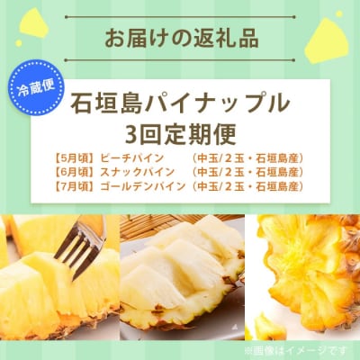 【定期便3回】石垣島産 パイナップル3種 計6玉【2026年 5月頃・6月・7月頃お届け】