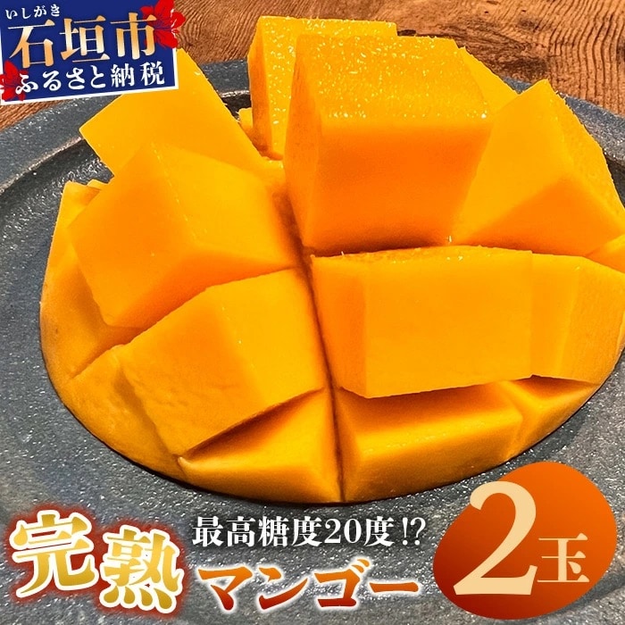 【先行受付】《2026年6月下旬～7月下旬発送》 完熟! 3Lサイズ 石垣島マンゴー 2玉約900g