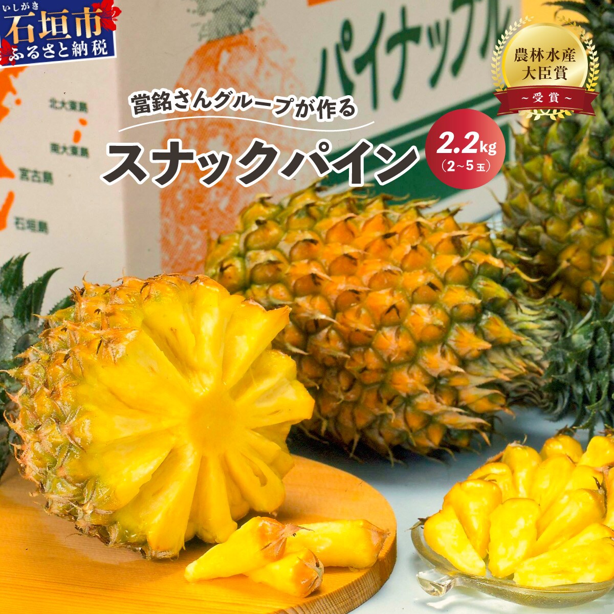 當銘さんグループのスナックパイン2.2kg(2玉～5玉)【2026年4月20日より順次発送予定】