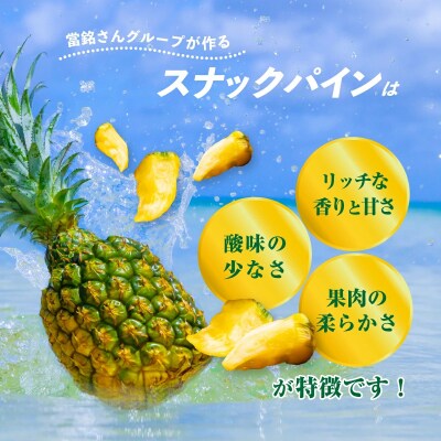 當銘さんグループのスナックパイン2.2kg(2玉～5玉)【2026年4月20日より順次発送予定】