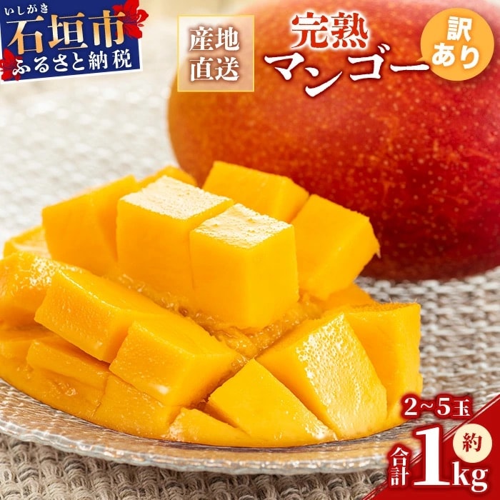 【訳あり】完熟 マンゴー (約1~1.2kg)《2027年6月から順次発送》