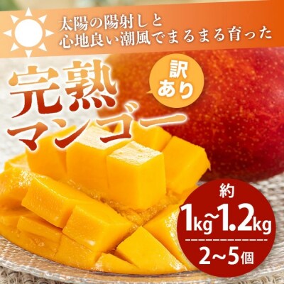 【訳あり】完熟 マンゴー (約1~1.2kg)【先行予約】《2027年6月から順次発送》
