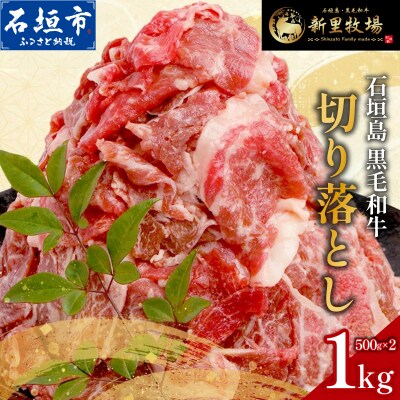石垣島産 黒毛和牛 新里牛 多用途抜群! 切落し (500g×2) 合計1kg