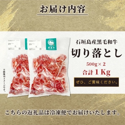 石垣島産 黒毛和牛 新里牛 多用途抜群! 切落し (500g×2) 合計1kg