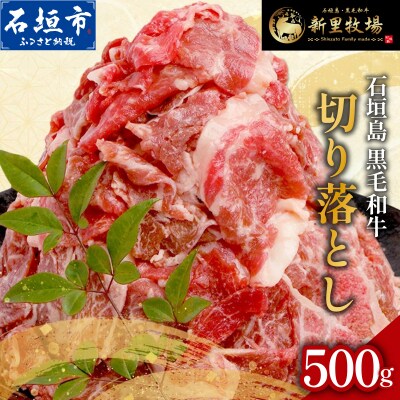 石垣島産 黒毛和牛 新里牛 多用途抜群! 切落し (500g×1) 500g