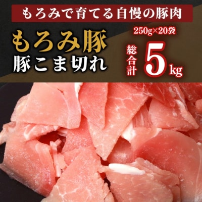 【5回定期便】【石垣島ブランド豚】もろみ豚 豚こま切れ 250g×20袋【合計5kg】