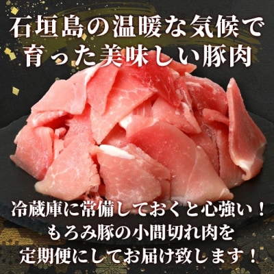 【12回定期便】【石垣島ブランド豚】もろみ豚 豚こま切れ 250g×48袋【合計12kg】