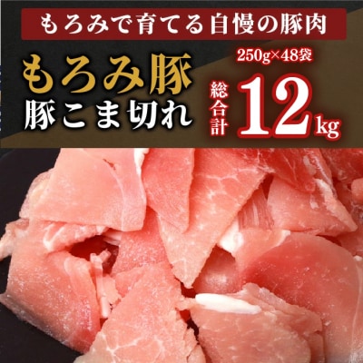 【12回定期便】【石垣島ブランド豚】もろみ豚 豚こま切れ 250g×48袋【合計12kg】