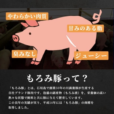 【3回定期便】もろみ豚 お惣菜定期便