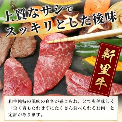 石垣島産 黒毛和牛 新里牛 赤身系焼き肉用 (300g×2) 合計600g