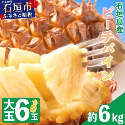 石垣島産・大玉ピーチパイン 6玉 約6.0kg 
