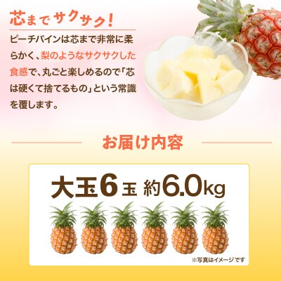 <先行予約>石垣島産・大玉ピーチパイン 6玉 約6.0kg <2026年5月以降発送>