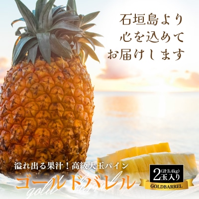 【先行受付】《2025年夏季 順次発送》ゴールドバレルパイン大玉2個入り 計3.4kg